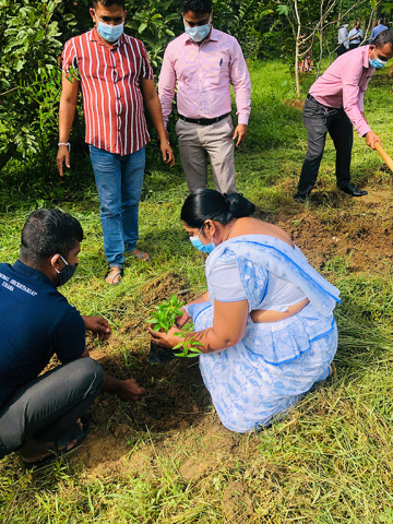 The tree planting programs held on  the Divisional Secretariat to coincide with the 73rd Independence Day celebrations on 04.02.2021.