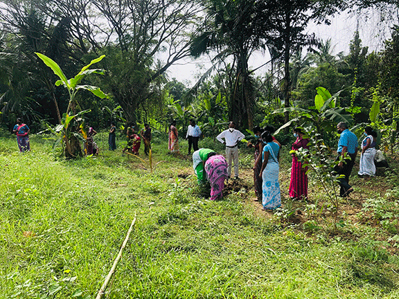 The tree planting programs held on  the Divisional Secretariat to coincide with the 73rd Independence Day celebrations on 04.02.2021.