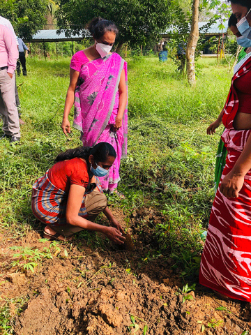 The tree planting programs held on  the Divisional Secretariat to coincide with the 73rd Independence Day celebrations on 04.02.2021.