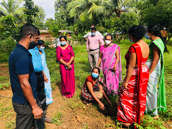 The tree planting programs held on  the Divisional Secretariat to coincide with the 73rd Independence Day celebrations on 04.02.2021.