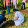 The tree planting programs held on  the Divisional Secretariat to coincide with the 73rd Independence Day celebrations on 04.02.2021.
