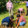 The tree planting programs held on  the Divisional Secretariat to coincide with the 73rd Independence Day celebrations on 04.02.2021.