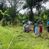 The tree planting programs held on  the Divisional Secretariat to coincide with the 73rd Independence Day celebrations on 04.02.2021.