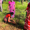 The tree planting programs held on  the Divisional Secretariat to coincide with the 73rd Independence Day celebrations on 04.02.2021.