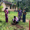 The tree planting programs held on  the Divisional Secretariat to coincide with the 73rd Independence Day celebrations on 04.02.2021.